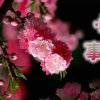 缘来是你的头像