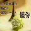 红叶的头像