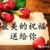 燕子的头像