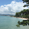 陈岳和的头像