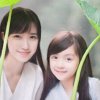 小狐狸的头像