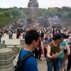 明天会更好的头像