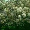 建的头像