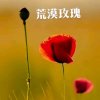 幺妹的头像