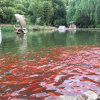 艳艳的头像