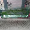 温馨的头像