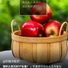 快乐的头像