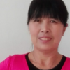 shanglingshu的头像