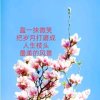 娇指尖的阳光的头像