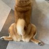 苜mie的头像