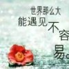 遥望远方的头像