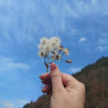 爱你一生不回头的头像