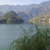 从容的头像