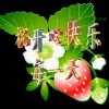岁月如金的头像