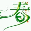 春（娱乐而已） 的头像