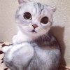  小姑【停币】的头像