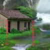 顺其自然的头像