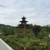 擦肩而过的头像