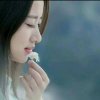 懒洋洋的头像