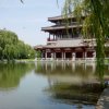 平安是福的头像