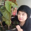 花间邀月（暂退）的头像