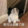 木染凉的头像