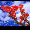 明天会更好的头像