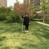 曹艳的头像