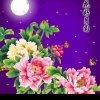花好月圆的头像