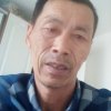 常青树的头像