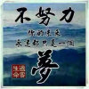 大海的头像