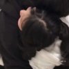 姐姐.的头像