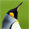 品味人生的头像