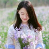 生石花的头像