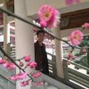 逍遥郎的头像