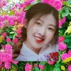 静jobhai蘭的头像