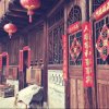 风行♚王小璐的头像