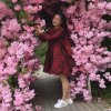 兰色妖姬的头像