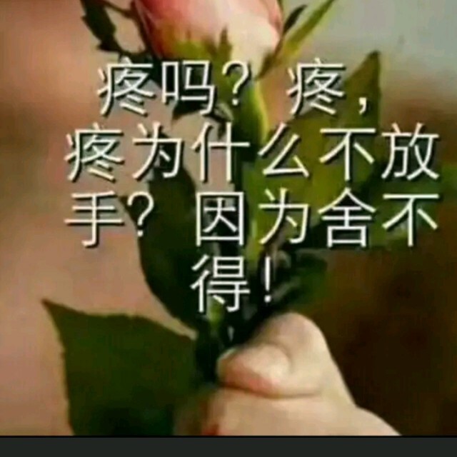 演唱歌手佳佳暂退的头像