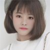 燕子的头像