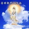 白鸽自由自在的头像