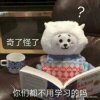 赵东来的头像