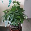 甜甜蜜蜜的头像