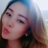 珊珊兔的头像