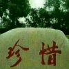 梦想诚真《退出》的头像