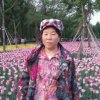 平安快乐的头像