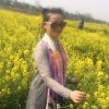 李金凤的头像