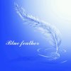 蓝色羽毛的头像