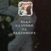 浩音忘忧草.的头像
