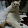 dd的头像